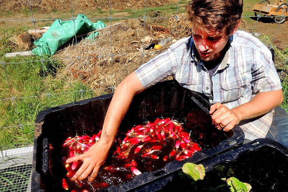 20842139_web1_200311-AVN-Shelter-Farm-market-gardening-MarketGarden_2