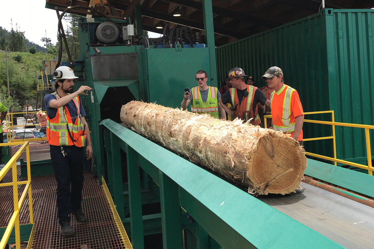 San Group opens new sawmill in B.C. - Alberni Valley News