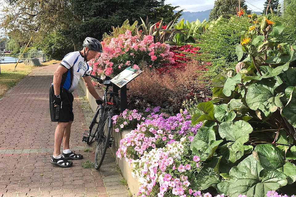 Alf Todd of Colwood takes a moment to lean his bicycle against a garden wall at Victoria Quay after cycling 200 kilometres from Victoria to Port Alberni on Aug. 11, 2020. Todd was raising awareness about Parkinson’s Disease. (SUSAN QUINN/ Alberni Valley News)