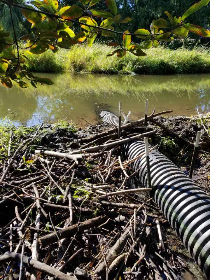 22642895_web1_200916-AVN-Beaver-Flow-Devices-alberni_3