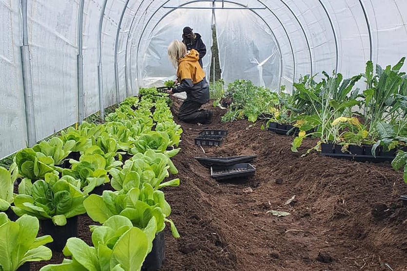 Staff and students at Shelter Farm work in a greenhouse during the last growing season. The farm has wrapped up for winter and is setting its sights on expansion of programs for spring. (PHOTO COURTESY GUY LANGLOIS, SHELTER FARM)