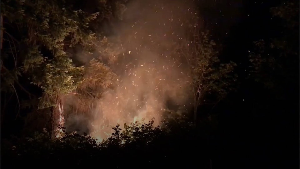 25792381_web1_210714-AVN-Fires-alberni_1