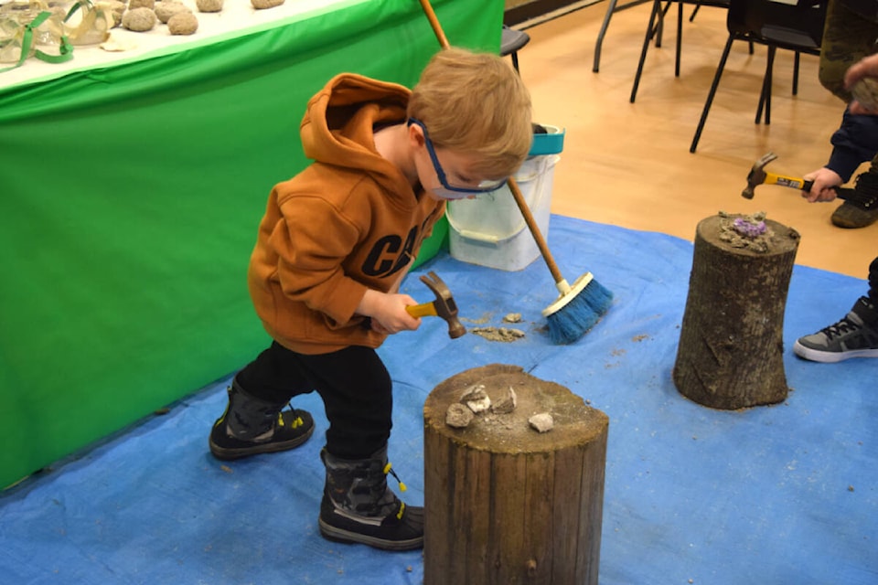 Easton Taylor breaks open a rock to discover a prize at the Rock and Gem Show at the Alberni Athletic Hall. (ELENA RARDON / ALBERNI VALLEY NEWS)