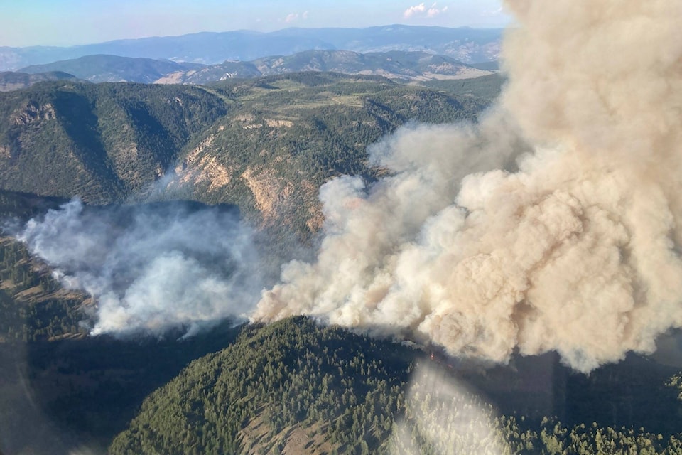 The Keremeos Creek wildfire, spotted on Friday, July 29, is already an estimated 100 hectares in size. (BC Wildfire Service)