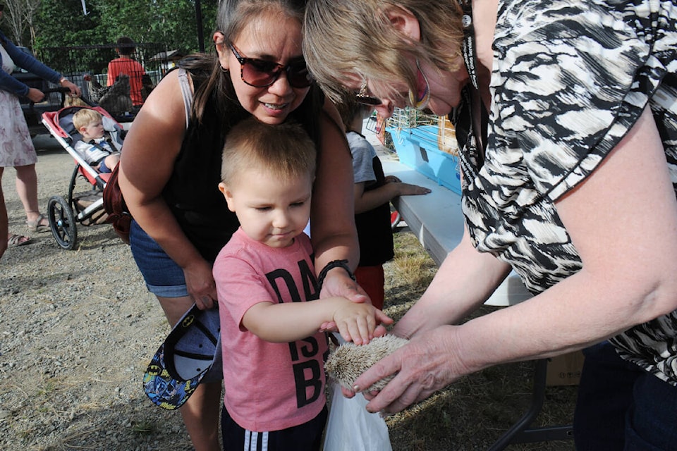 Jasper Amos pets a hedgehog with Penny Wouters, right, of Boots and Bridles 4-H Club, Friday, July 22, 2022 at the Fall Fair Night Market. (SUSAN QUINN/ Alberni Valley News)