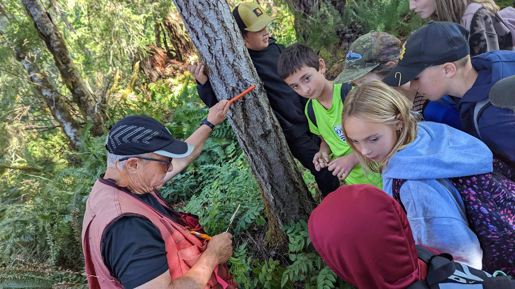 30465664_web1_220928-AVN-FORESTRY-Class-tour-forestry_3