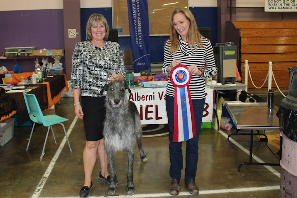 Dominic the Scottish deerhound, with handler Heidi Gervais, left, and owner Lynne Bruce, wins best in show at the Alberni Valley Kennel Club’s annual championship show on Friday, Oct. 14, 2022. (SONJA DRINKWATER/ Special to the AV News)