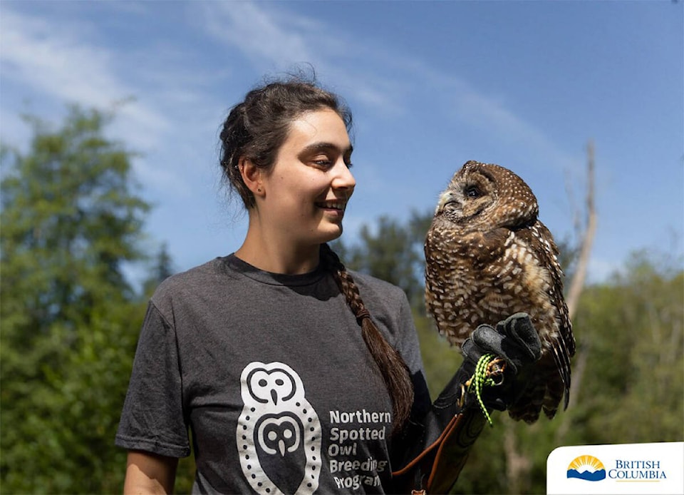 30817677_web1_221028-HSL-spottedowls-owl_1