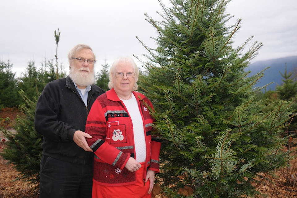 Roy and Kathy Gunter-Smith stand near a grand fir at son and daughter-in-law Cory and Kris Gunter-Smith’s Alberni Christmas Trees farm near the Alberni Valley Regional Airport on opening day of the 2022 season. (SUSAN QUINN/ Alberni Valley News)