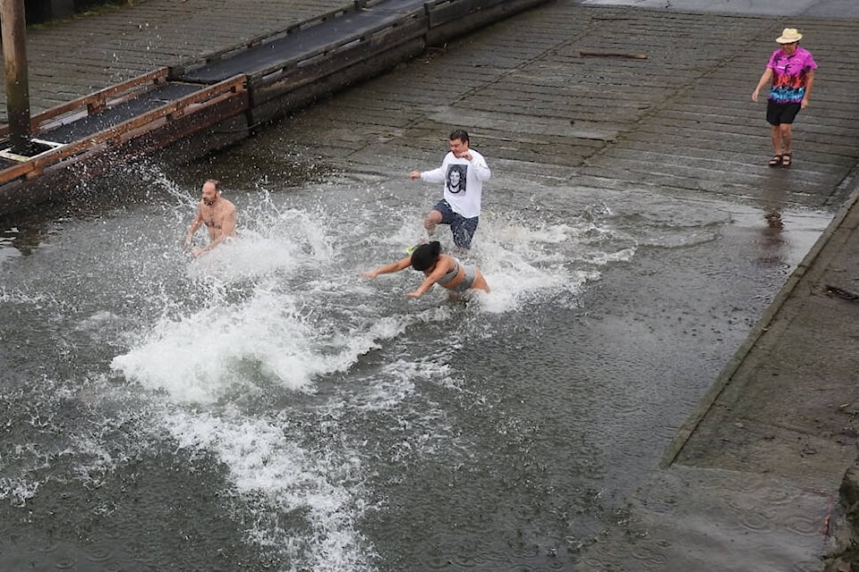 Bouchra Savard, front, dives into the water behind David Wiwchar while Michael Ramsay, left, Dan Savard and Jeff Cook work their way down the boat ramp at Clutesi Haven Marina on Jan. 1, 2023. The friends held their own Polar Bear Swim this year. (JUDY QUINN/ Special to the AV News)