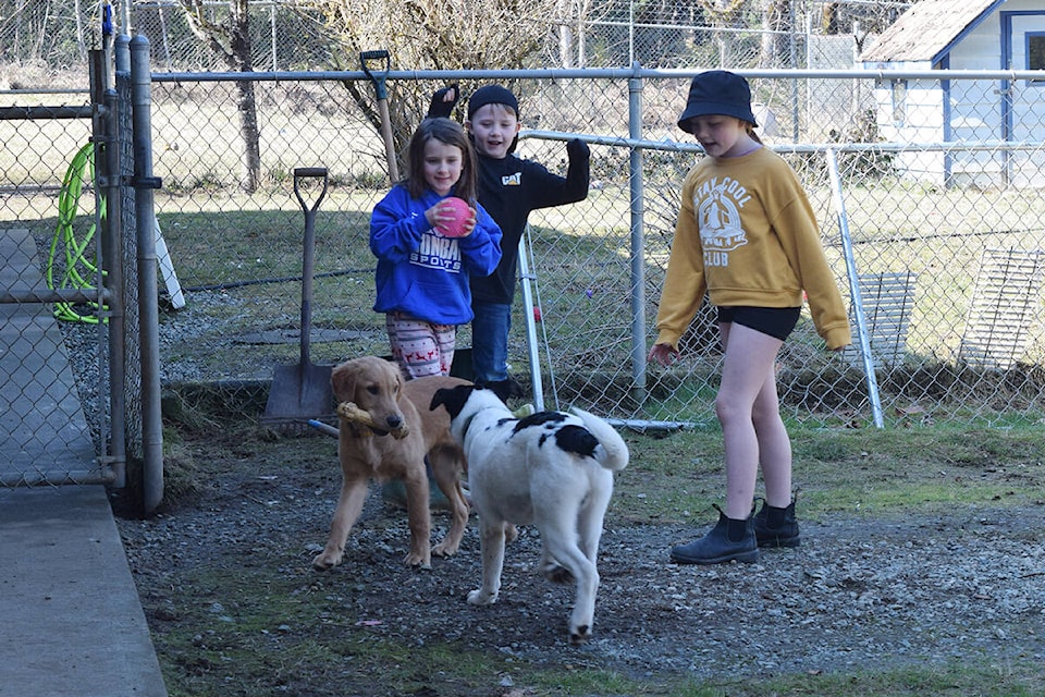 Alberni spca deals