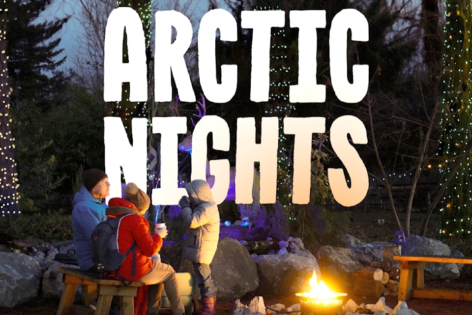 pic-1-poster-arctic