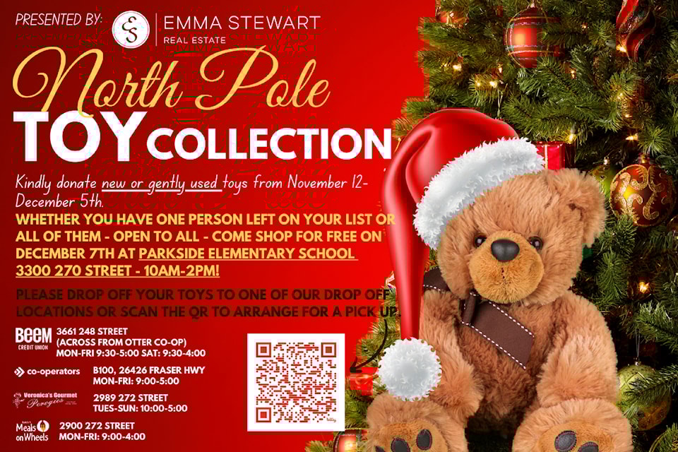 pic-1-poster-toy-drive