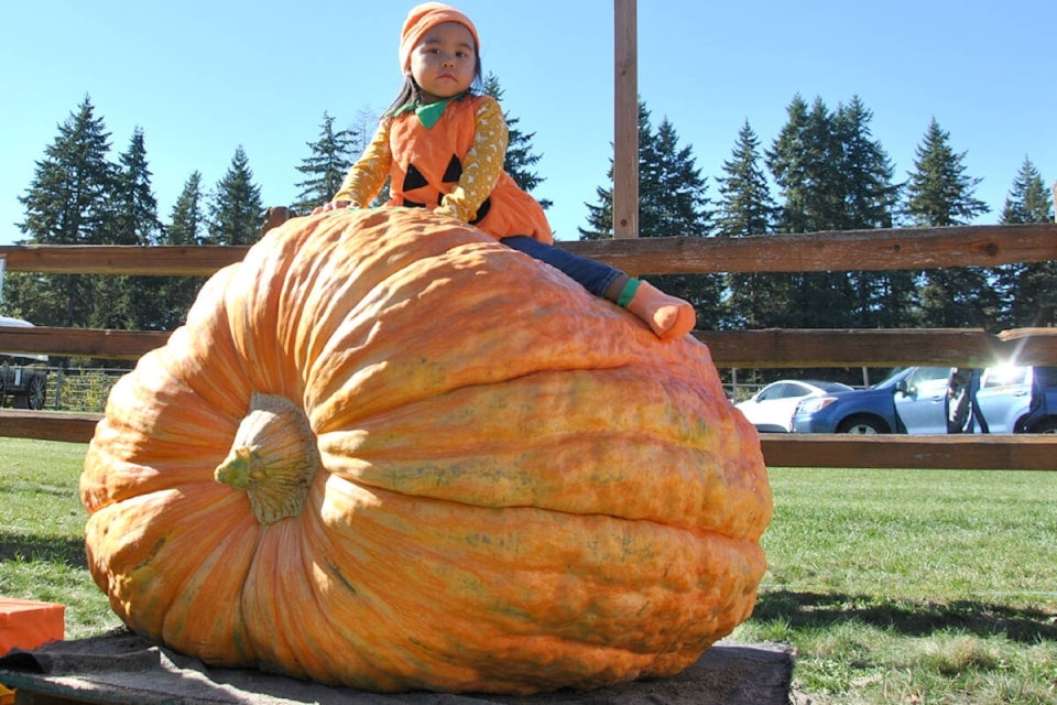 web1_231010-lat-rh-pumpkinweighoff-krause_23