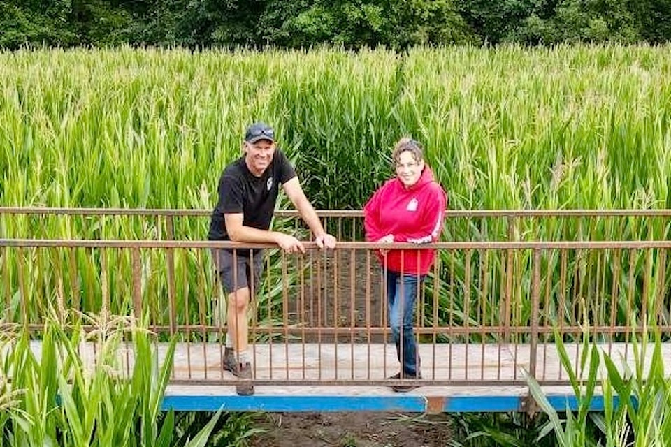 Brian and Erin Anderson, owners of Eagle Acres Farm, are set to open up their fifth annual corn maze on Saturday, Aug. 30, 2025. It will run daily from 10 a.m. to 4 p.m. until Monday, Oct. 13.