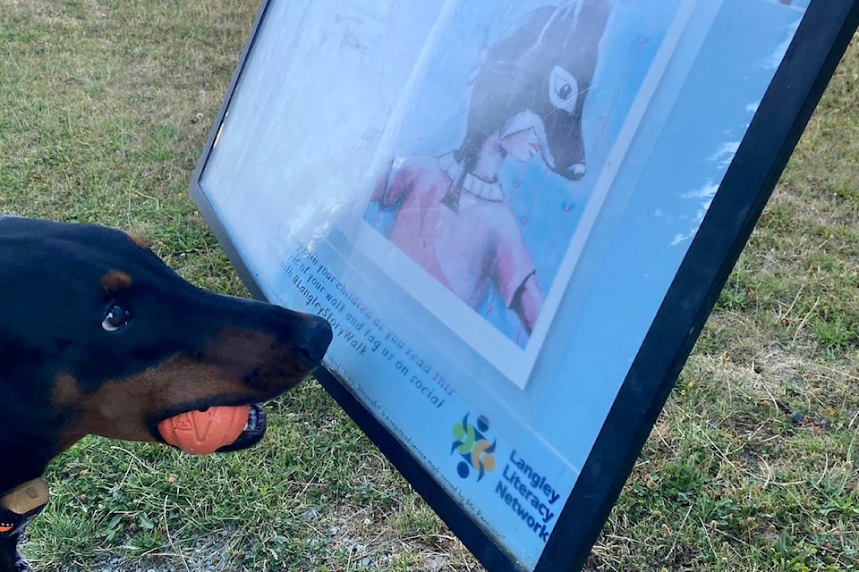 Alysha Stevens was out with her dog, Theo, when she came across damaged story walk displays at Parkside Centennial Elementary the morning of Aug. 8, 2025. 