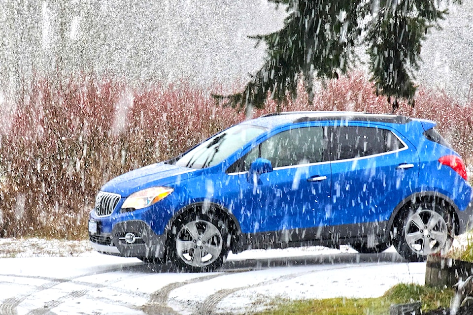 Snowfall in the Otter neighbourhood of 91ԭ on Saturday, Feb. 1. (Dan Ferguson/Black Press Media)
