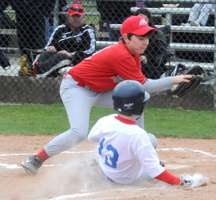 16834aldergroveBaseballPeeweeA4000web