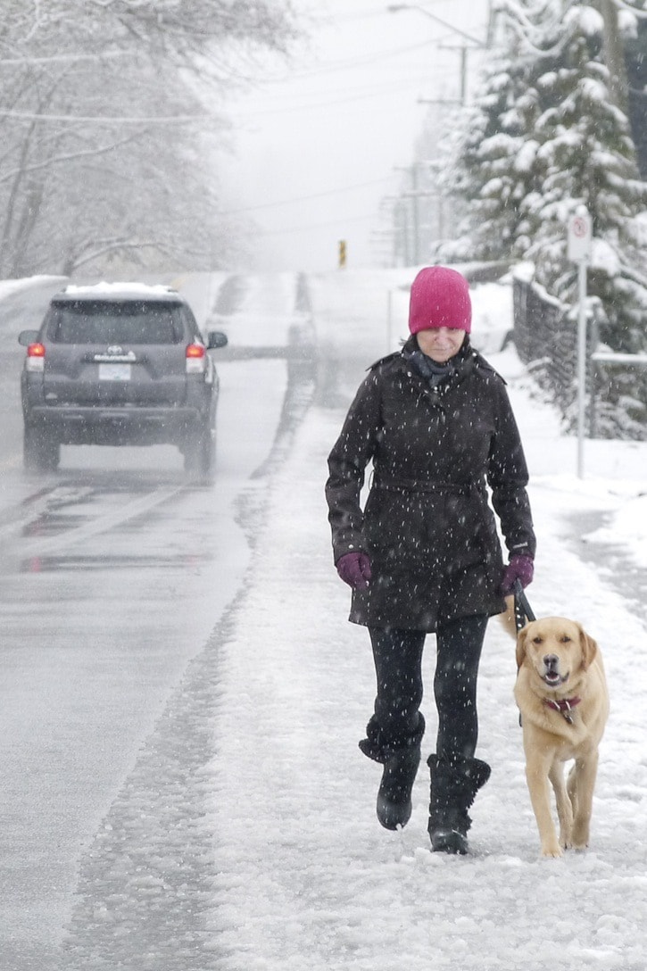 36977langley0305walkinthesnow