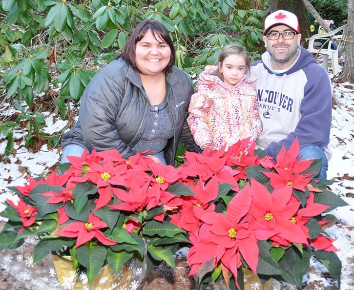 39771aldergrovePoinsettias8325web