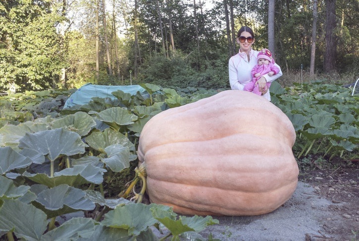 46913langleyItsthegiantpumpkin