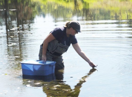 5241aldergroveZooTurtleRelease