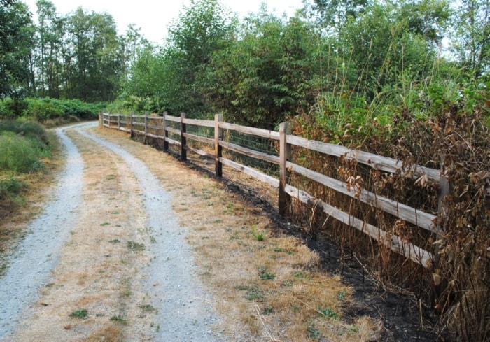 95129BCLN2007ColonyFarmscorchedfence-7web