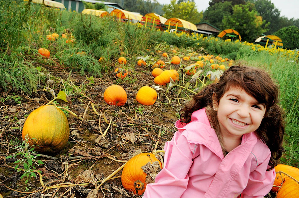 8734745_web1_171004-LAT-pumpkins1