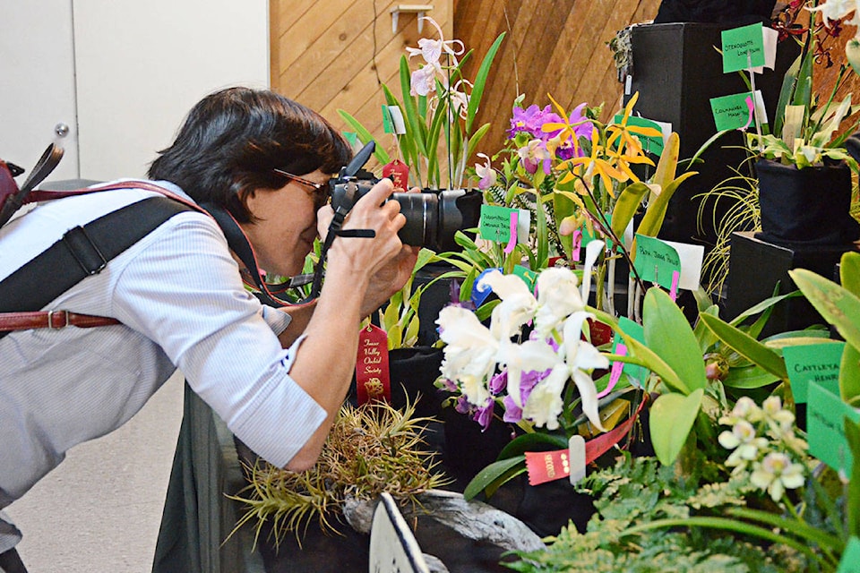 Hilary Bourdon of Vancouver came out to Langley on the weekend to check out the blooms at the Fraser Valley Orchid Society’s annual show at the George Preston Recreation Centre in Brookswood. (Matthew Claxton/Langley Advance)