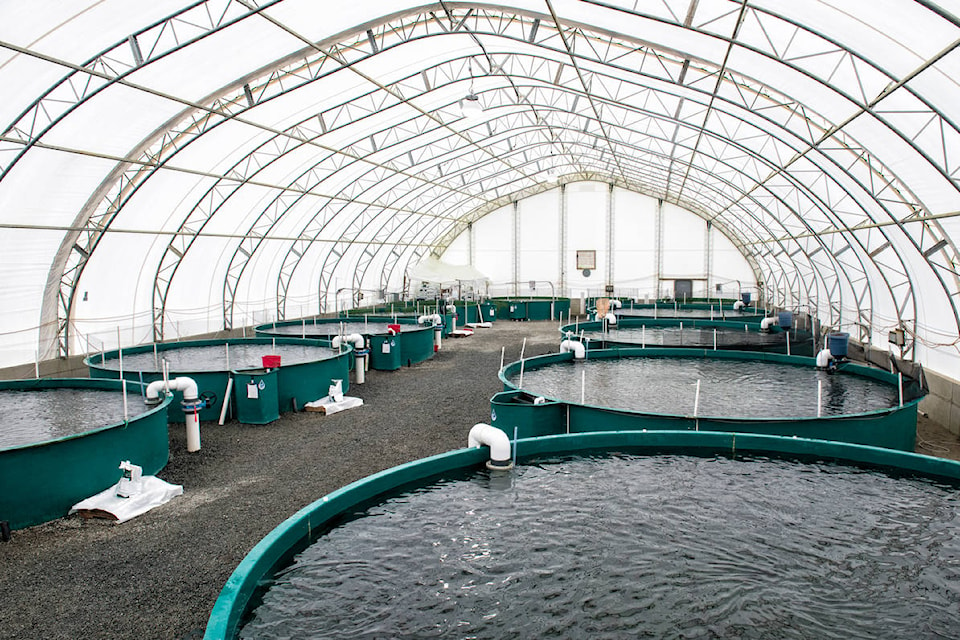 10689333_web1_fish-farm-letter-PM