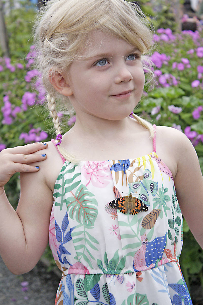 12636184_web1_180707-LAT-butterfly-release-Christopherson