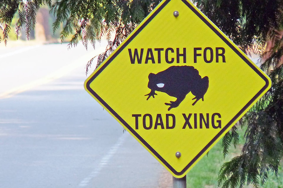 12944971_web1_copy_180731-LAT-Toad-crossing-sign