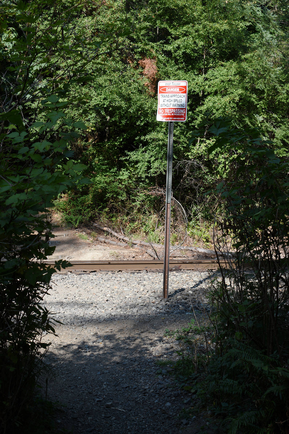12950651_web1_180730-NDR-M-Delta-Nature-Reserve-entrance-to-rail-crossing-VERTICAL