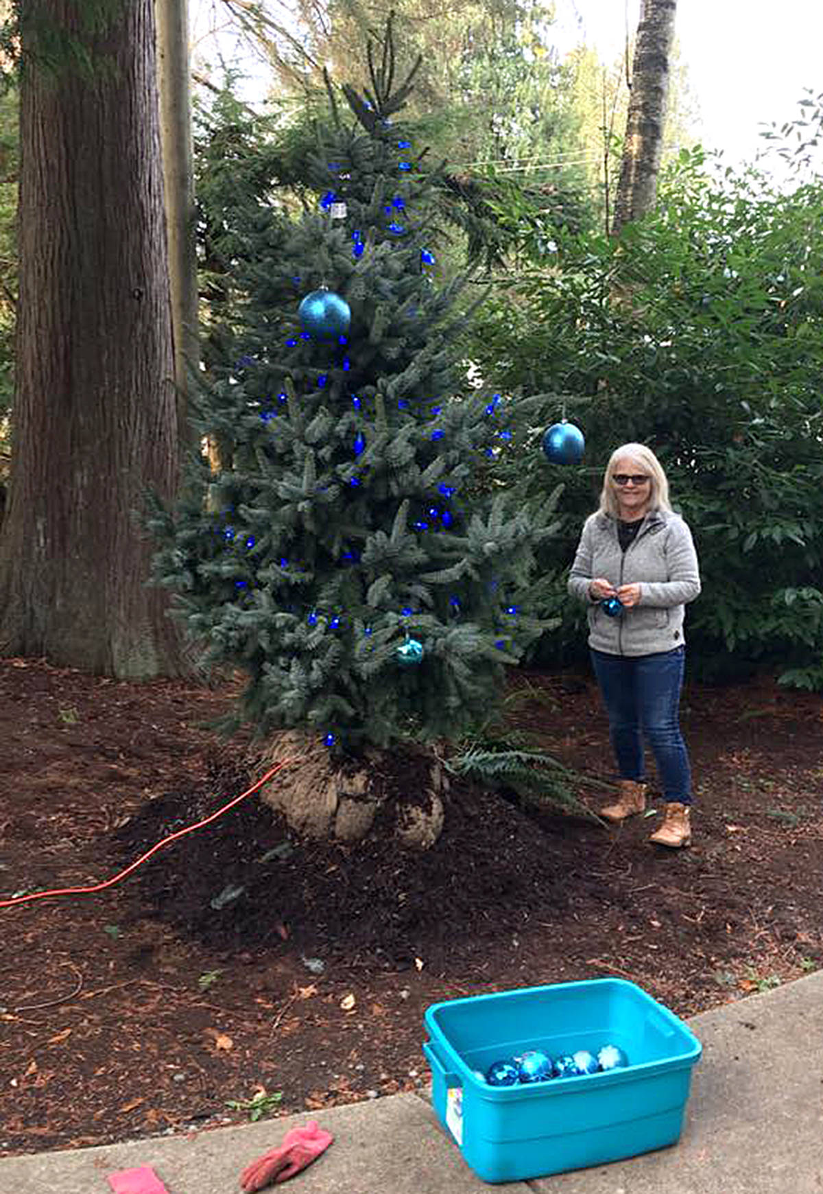 14399732_web1_Madeline-LHS-Volunteer-decorating-tree-from-Cedar-Rim-Nursery