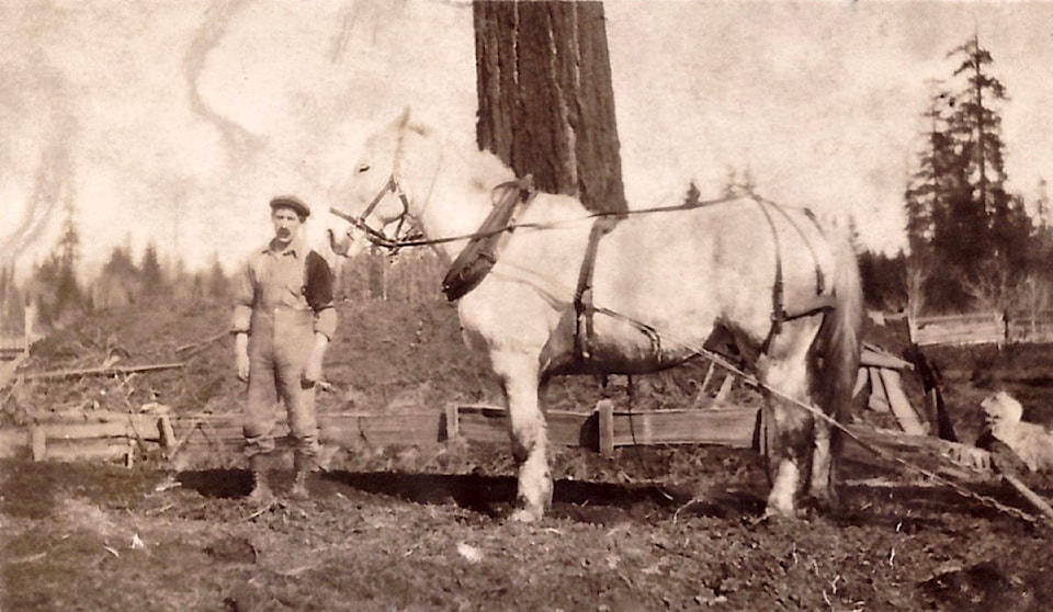 15171960_web1_Wright-James-with-horse-on-Holmstead-RdC.