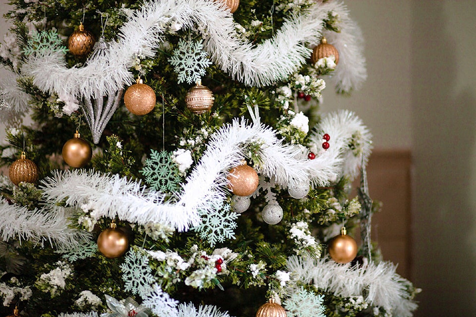 19419403_web1_denisse-leon-unsplash-Langley-Christmas-Tree