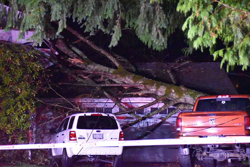 Langley City fire crews were called to the 4900-block of 202A Street for a report of a tree fallen on a house around 8 p.m. Thursday, Nov. 19, 2020. (Curtis Kreklau/Special to Langley Advance Times)
