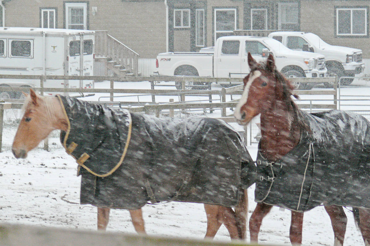 24226299_web1_210213-LAT-snowfall-hits-Langley_3