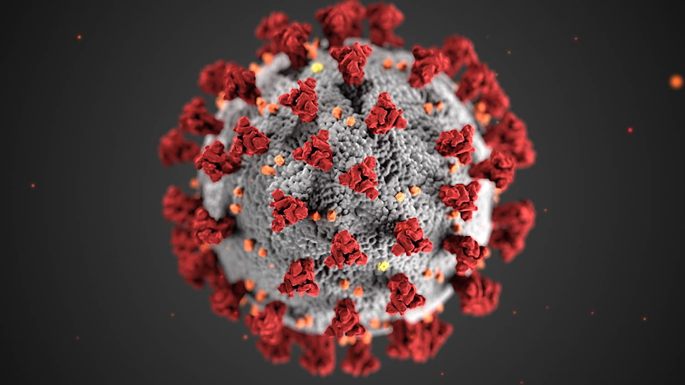 24864511_web1_Coronavirus_3D_illustration_by_CDC_1600x900