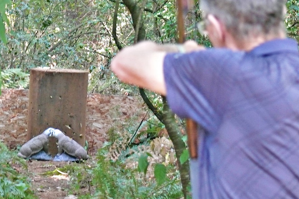An archer draws a bead on two Styrofoam badgers in the woods near the Langley Road and Gun Club. which hosted a 3D archery event on Sunday, Aug. 29. (Dan Ferguson/Langley Advance Times)