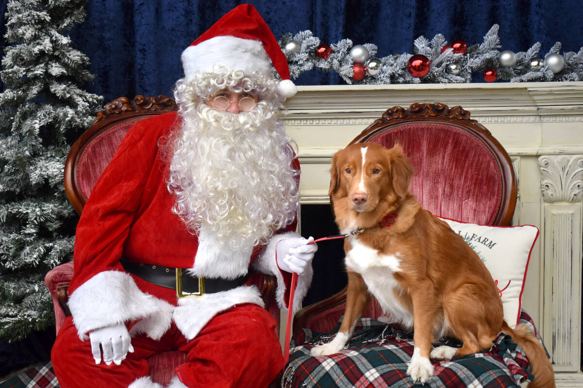 27631485_web1_211223-LAT-RH-SantaPetPhotoFolo--pets_3