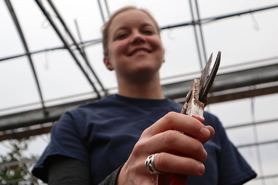 Local nursery inviting gardening enthusiasts to their tool sharpening event. Donations will benefit Langley Food Bank. (Tanmay Ahluwalia/Langley Advance Times)