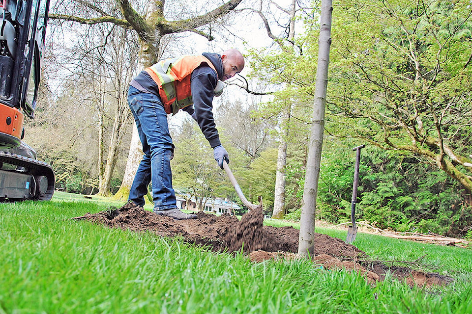 28728486_web1_200427-LAT-Arbour-Day-planting_1