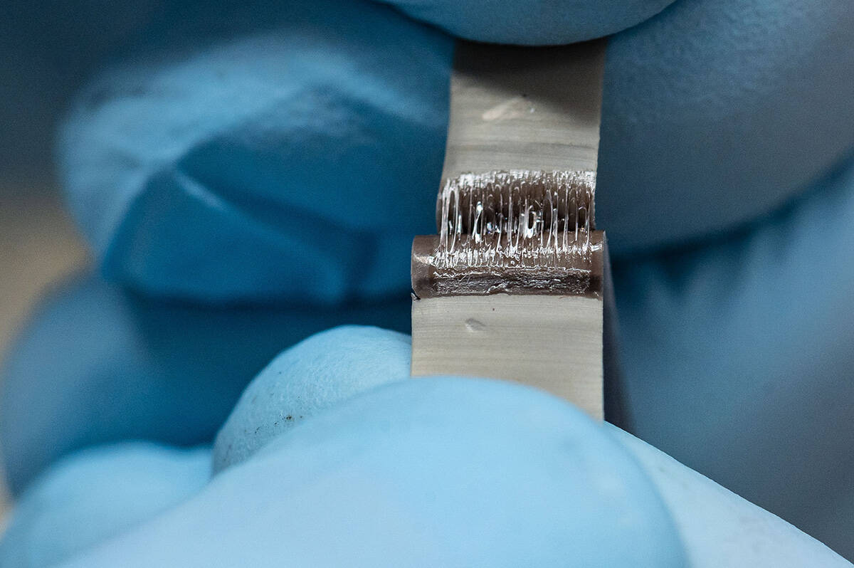 A20s self-healing polymer can rebuild itself when its torn or scratched. (Credit: Paul Joseph/UBC Applied Science)