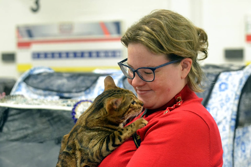 Coy Cosburn took her two-year old cat, Sabrina Rose, who won the Bengal cat category, to the Langley show jointly hosted by Cat Fanciers of BC and Garden City Cat Fanciers on Saturday, Aug. 13, and Sunday, Aug. 14. (Tanmay Ahluwalia/Langley Advance Times)