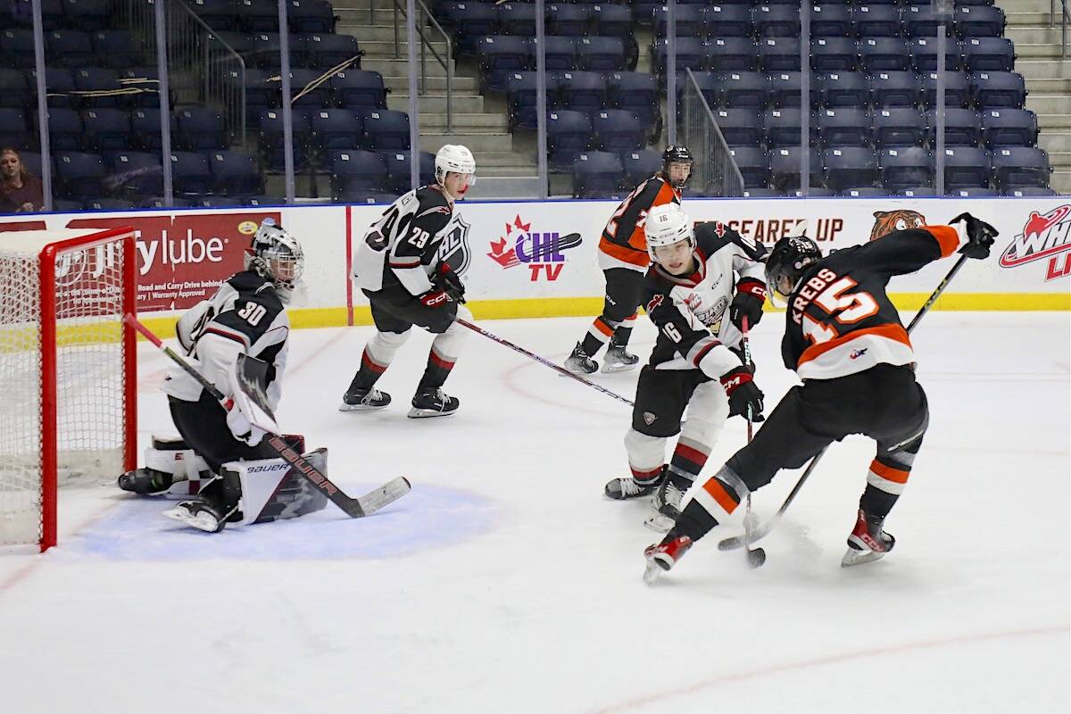 Jesper Vikman stopped 29 of 31 Tigers shots as the Vancouver Giants downed Medicine Hat Tigers 3-2 in overtime on Tuesday, Nov. 1. (Randy Feere/Special to Langley Advance Times)