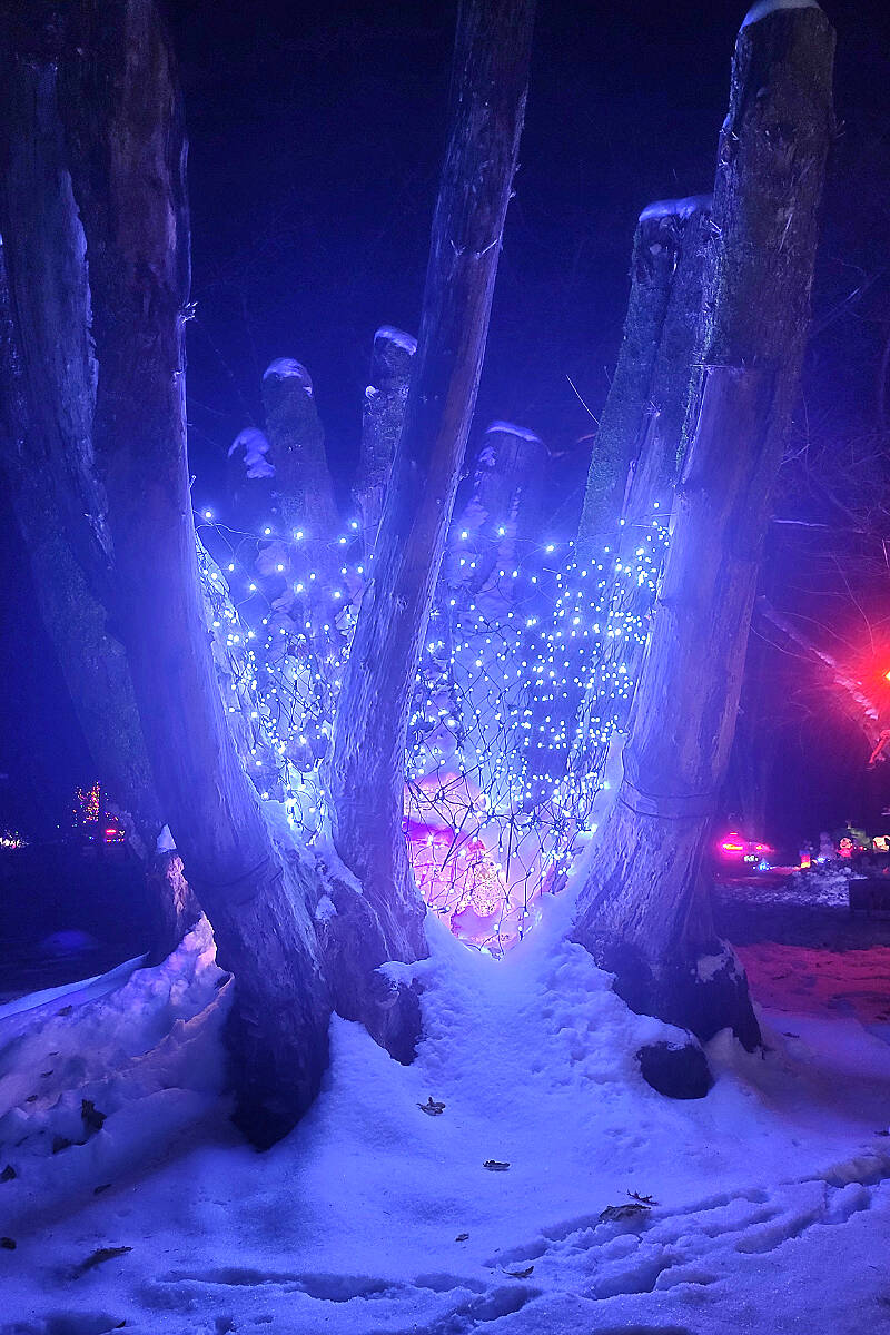 Hundreds of vehicles drove through Williams Park to see the Christmas lights displays on Saturday, Dec. 3. (Dan Ferguson/Langley Advance Times)