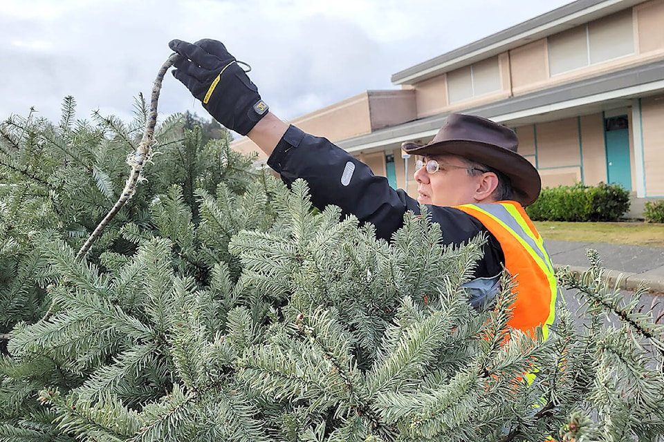 Scouter Martin Lylyk, of the First Walnut Grove Scouts unloaded a tree Saturday, Dec. 31 at Walnut Grove Secondary School. Organized by the First Walnut Grove scouts, it was believed to be the first Christmas tree recycling event of the season. (Dan Ferguson/Langley Advance Times)