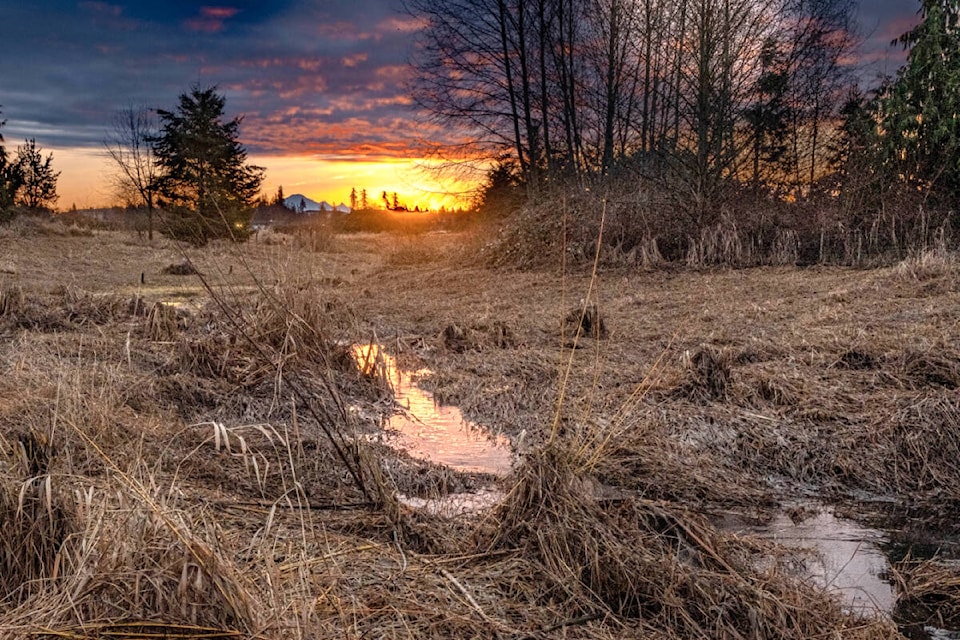 Joy Ruffeski is a frequent contributor to Through Your Lens. She started the new year off right with a recent early morning walk on the trails at the Derek Doubleday Arbouretum. “Such a delightful place to go for a walk,” she shared. “It was so nice to see many others out enjoying the fresh air and sunshine after digging out from the snows that we had during the holidays.” (Special to Langley Advance Times)