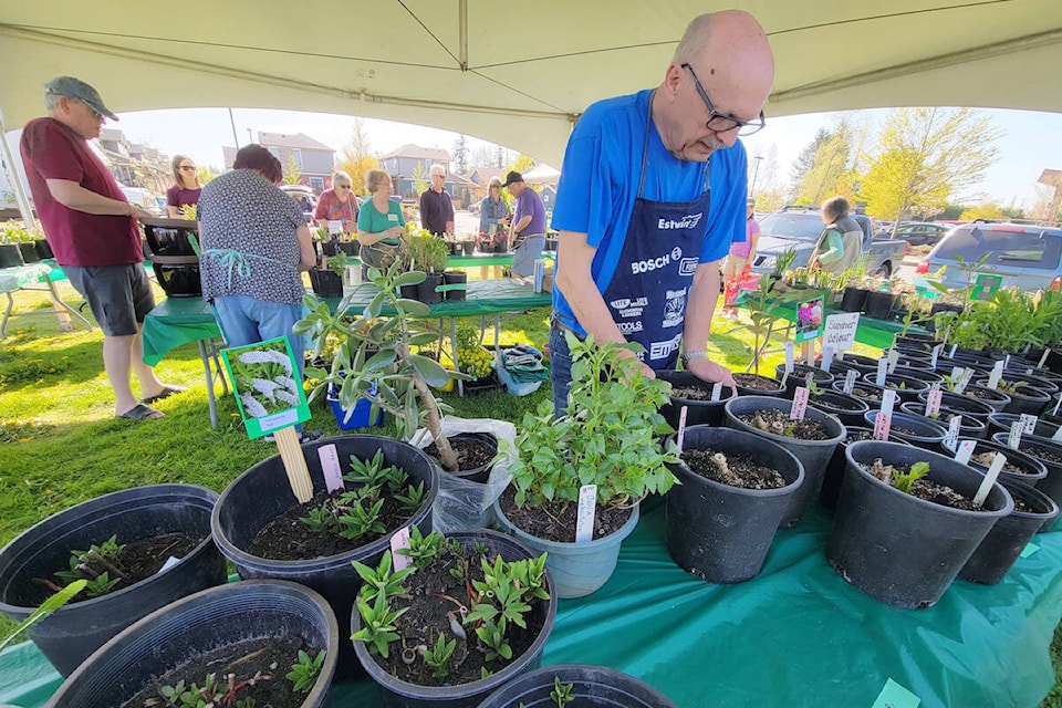 Sunny, warm weather meant a good turnout for the annual plant sale by the non-profit Langley Garden Club held on Saturday, April 29, in the parking lot of Southridge Fellowship Church.( Dan Ferguson/Langley Advance Times)